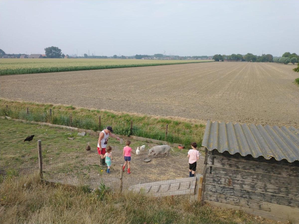 “In Oans Oefje” Parel In De Polder! Lewedorp Exterior foto