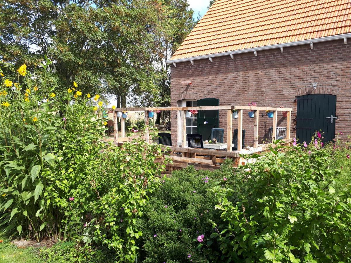 “In Oans Oefje” Parel In De Polder! Lewedorp Exterior foto