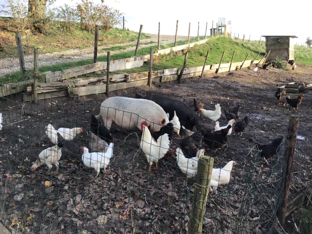 “In Oans Oefje” Parel In De Polder! Lewedorp Exterior foto