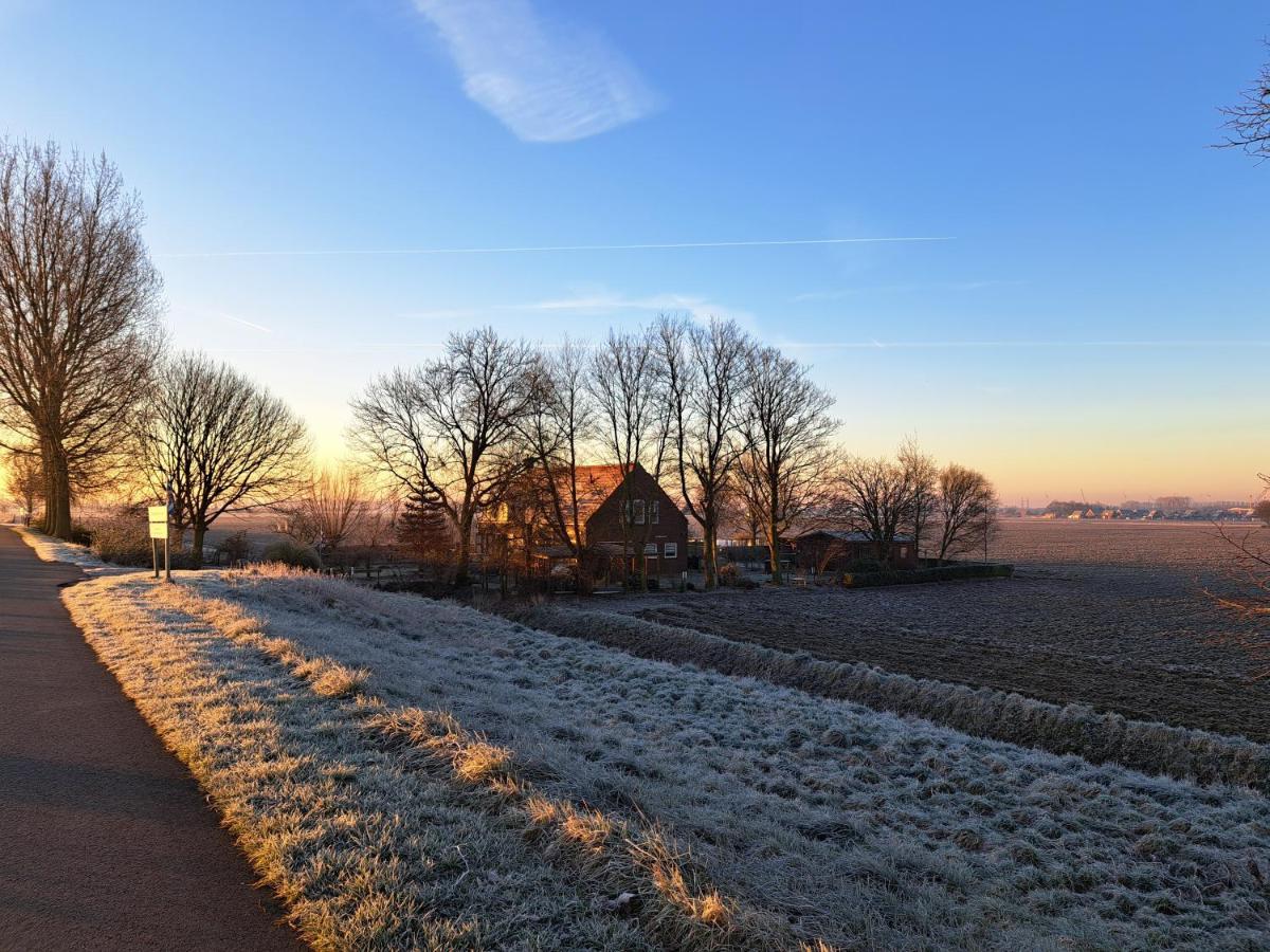 “In Oans Oefje” Parel In De Polder! Lewedorp Exterior foto