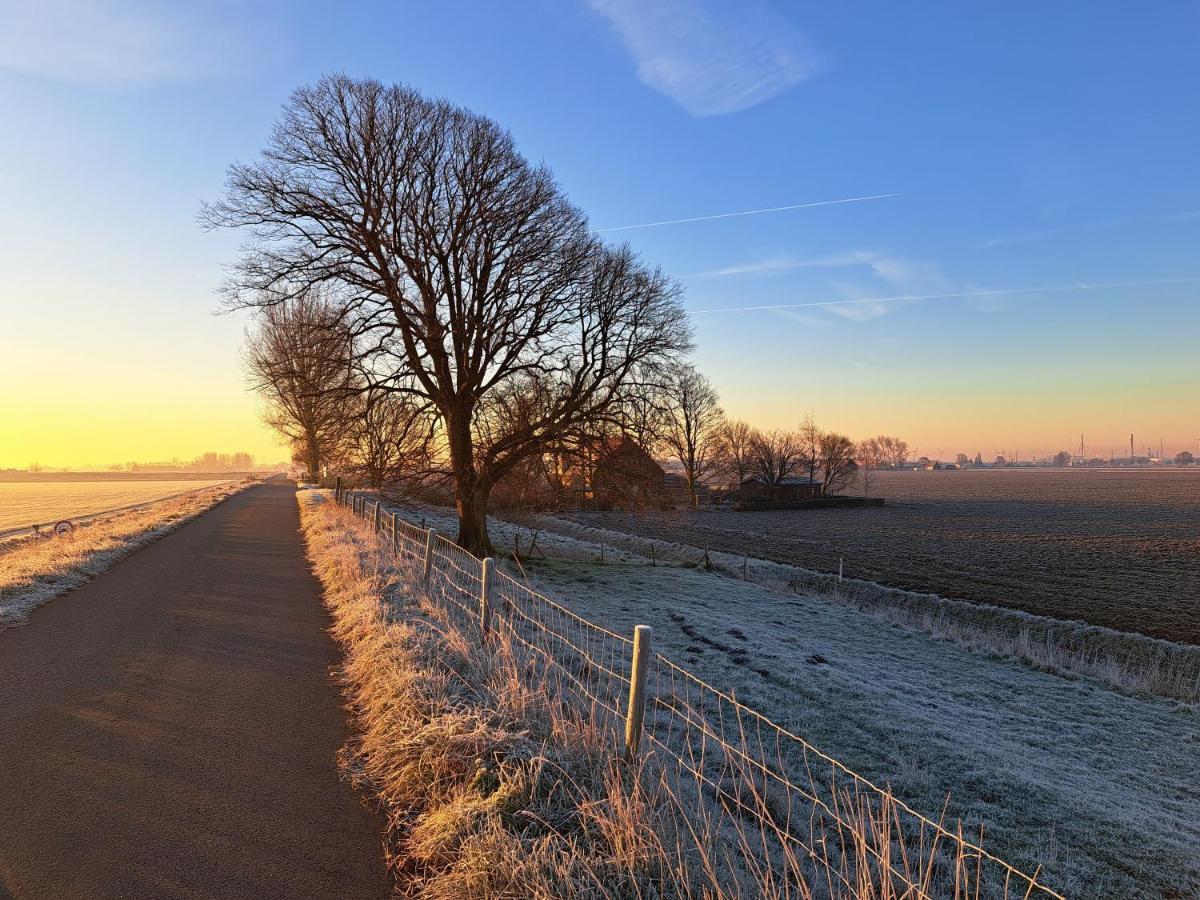 “In Oans Oefje” Parel In De Polder! Lewedorp Exterior foto